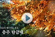동영상 재생하기